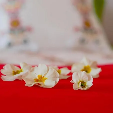 Antonija Villa Čilipi