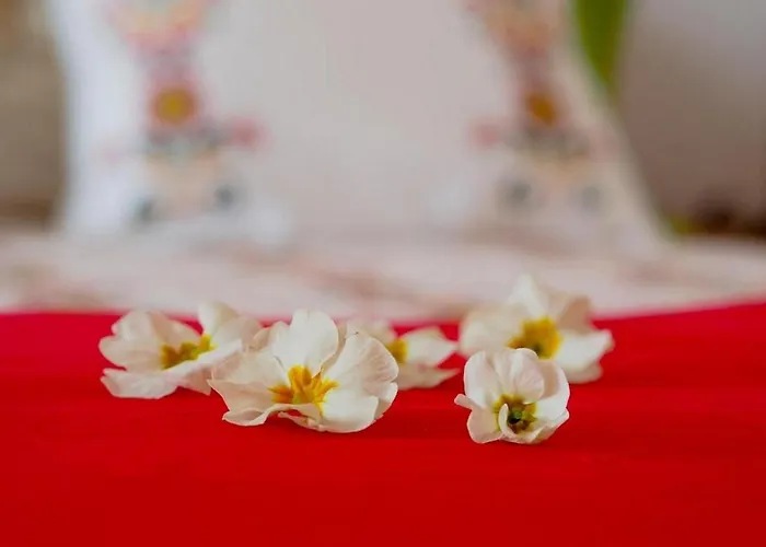 Antonija Villa Čilipi